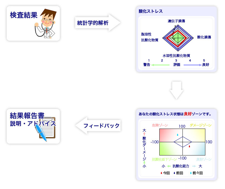 老化（酸化）を押さえる最新の酸化ストレスドッグのご案内